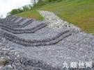 雷諾護墊